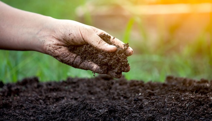 Soil Degradation